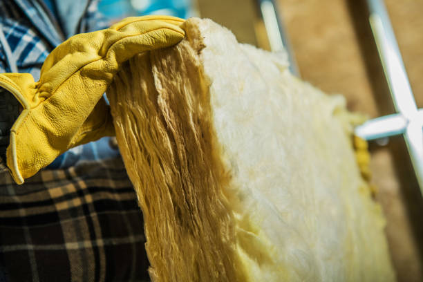 Insulation Repair Services in Mound Bayou, MS
