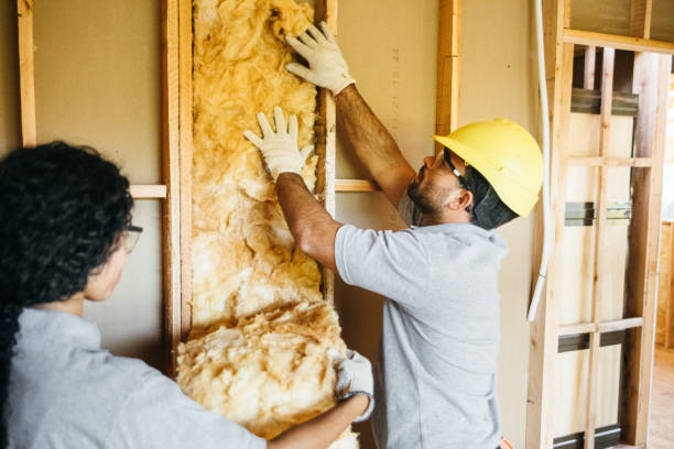 Best Spray Foam Insulation  in Mound Bayou, MS