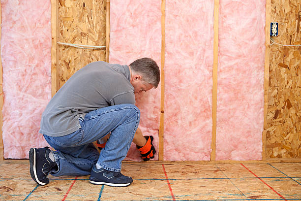 Insulation Replacement Services in Mound Bayou, MS