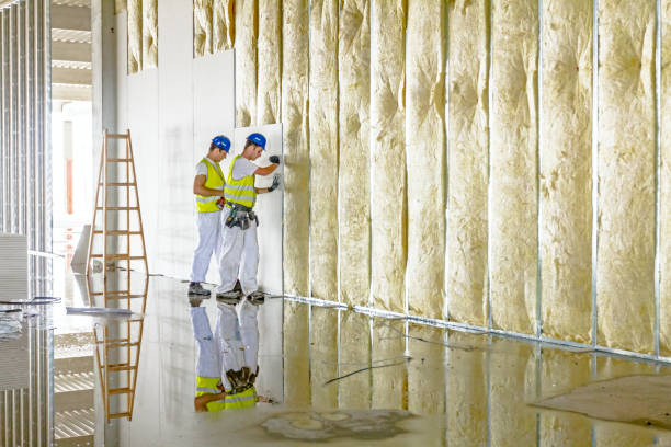 Best Insulation Contractor Near Me  in Mound Bayou, MS